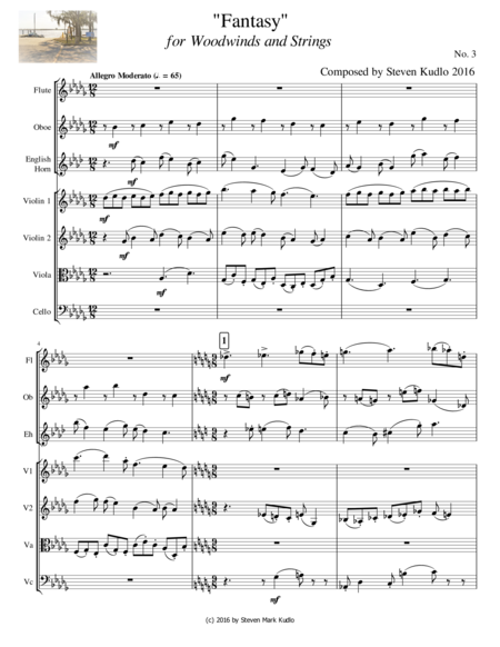 Fantasy For Winds And Strings 3 Sheet Music