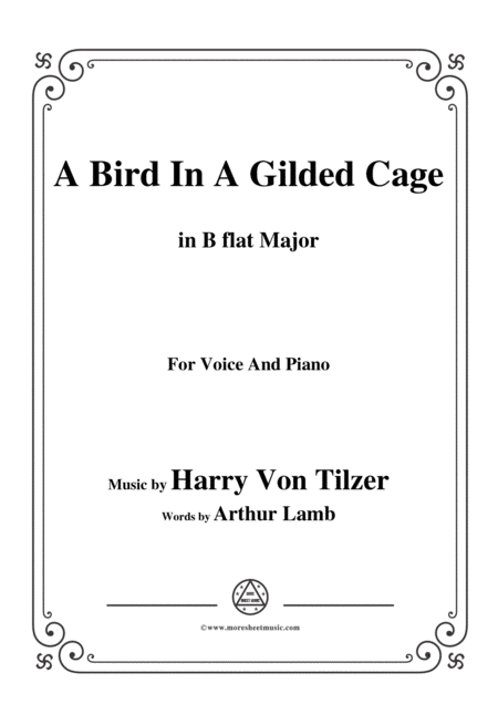 Harry Von Tilzer Bird In A Gilded Cage In B Flat Major For Voice Piano Sheet Music