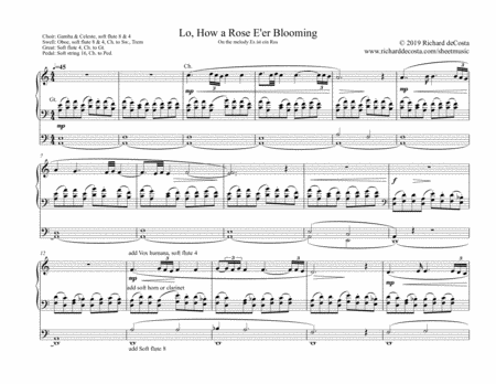 Free Sheet Music Lo How A Rose E Er Blooming For Organ