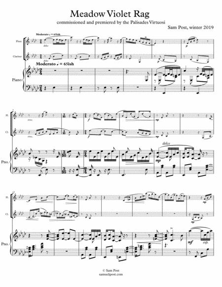 Free Sheet Music Meadow Violet Rag Op 45