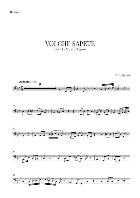 Mozart Voi Che Sapete For Bassoon Sheet Music