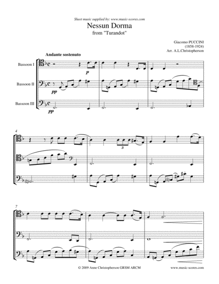 Free Sheet Music Nessun Dorma Bassoon Trio