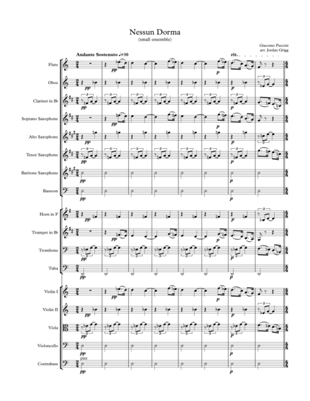 Free Sheet Music Nessun Dorma For Treble Alto Recorder Piano