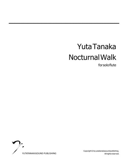 Nocturnal Walk For Solo Flute Sheet Music