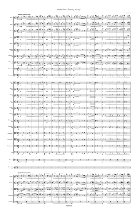 Sleeping Beauty Waltz For Orchestra Sheet Music