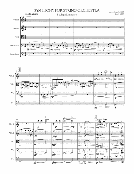 Symphony For String Orchestra Op 2 Sheet Music