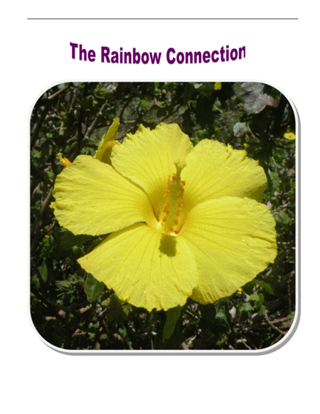 The Rainbow Connection By Paul Williams And Kenneth L Ascher For Four Cellos Sheet Music