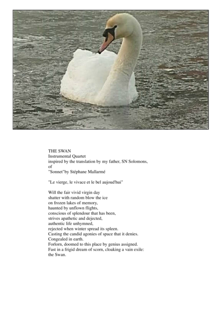 Free Sheet Music The Swan For Flute Quartet