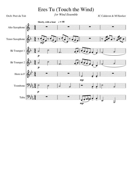 Touch The Wind Erest Jc Calderon M Walker Wind Ensemble Sheet Music