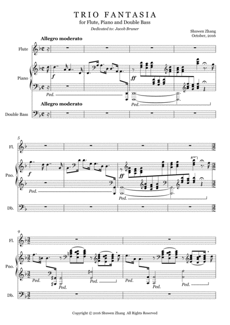 Free Sheet Music Trio Fantasia For Flute Piano And Double Bass