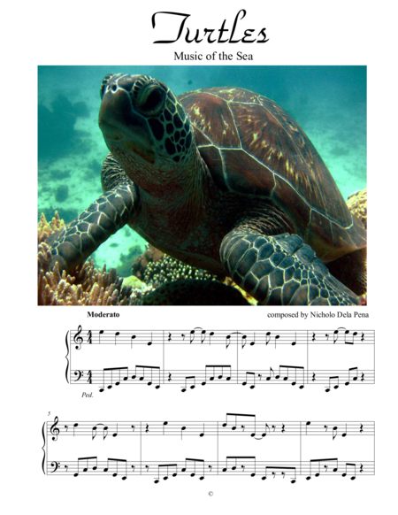 Turtles Music Of The Sea Sheet Music