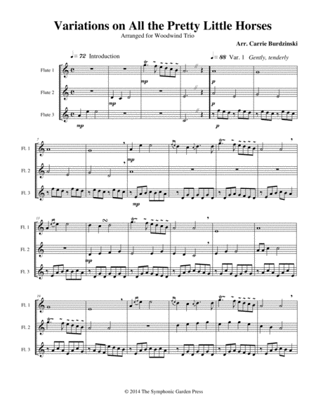 Variations On All The Pretty Little Horses Recorder Trio Sheet Music