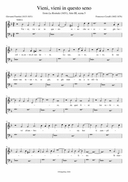 Vieni Vieni In Questo Seno Sheet Music