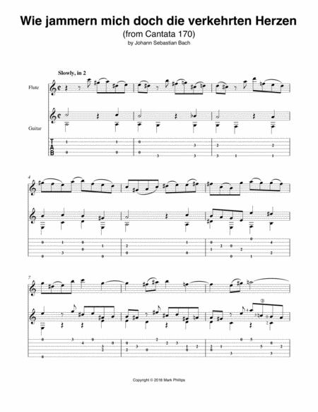 Wie Jammern Mich Doch Die Verkehrten Herzen Excerpt Sheet Music