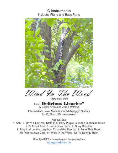 Wind In The Wood For Flute Recorder Violin C Instruments Sheet Music