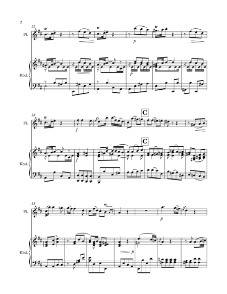 Allegretto From Flute Sonata 1 Page 2