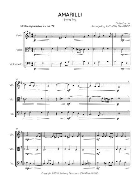 Amarilli String Trio Page 2