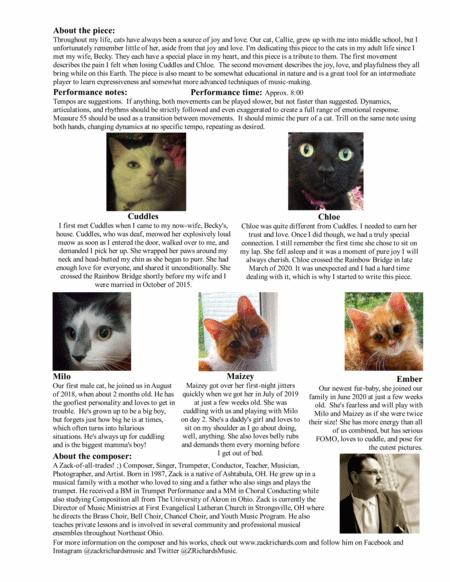 An Ode To Purr Babies Piano Solo Page 2