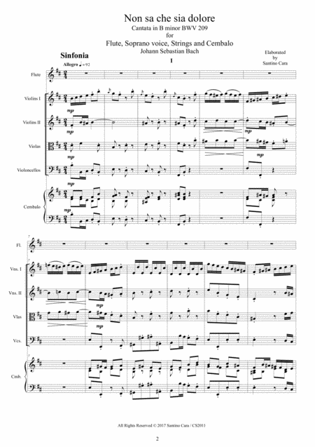 Bach Non Sa Che Sia Dolore Cantata Bwv 209 For Flute Soprano Strings And Cembalo Page 2