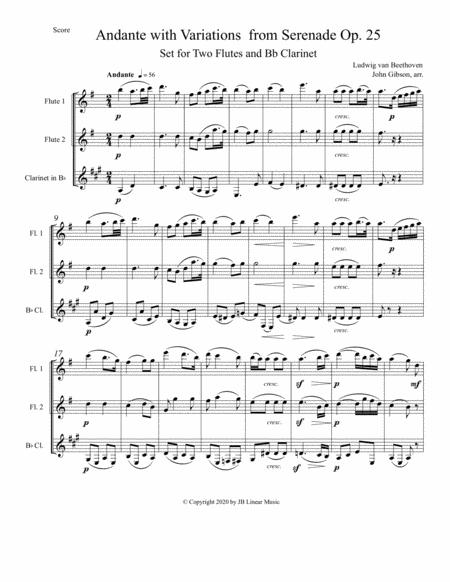 Beethoven Andante With Variations Set For 2 Flutes And Clarinet Trio Page 2