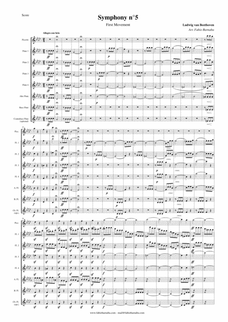 Beethovens Fifth Symphony First Movement For Flute Choir Page 2