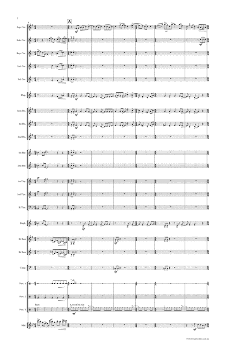 Concert For Soprano Eb Cornet Page 2