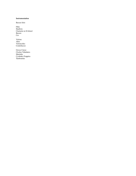 Concerto For Bassoon And Orchestra Orchestral Score Page 2