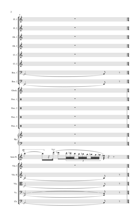 Concerto No 1 For Flute And Orchestra Page 2