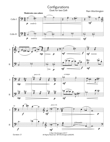 Configurations For Two Celli Page 2