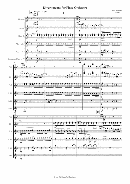 Divertimento For Flute Ensamble Score And Parts Page 2