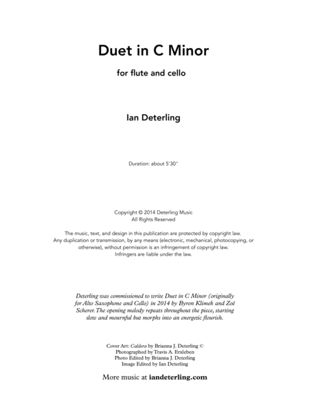 Duet In C Minor For Flute And Cello Page 2