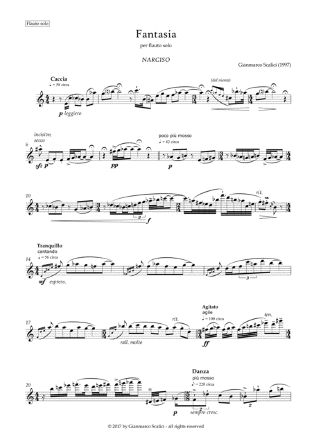 Fantasia Narciso For Solo Flute Page 2