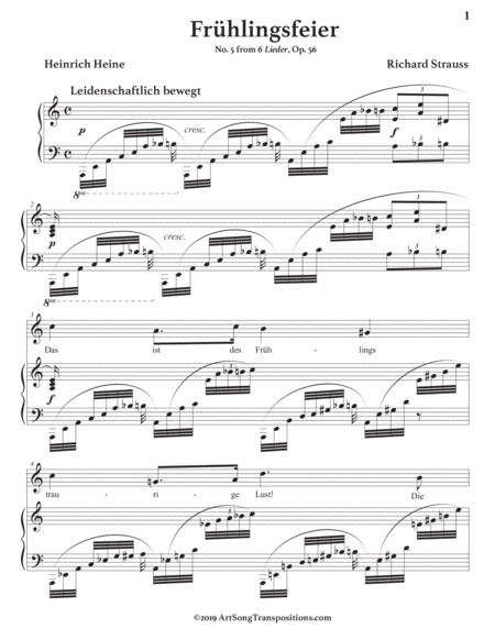 Frhlingsfeier Op 56 No 5 A Minor Page 2