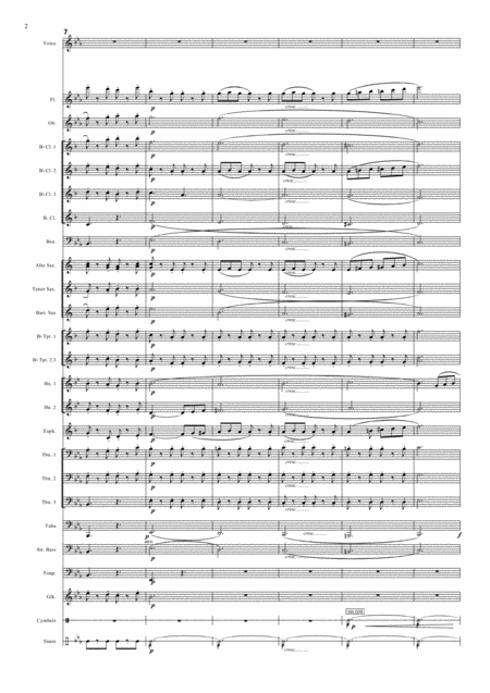 Funiculi Funicula Luigi Denza For Solo Voice And Concert Band Page 2