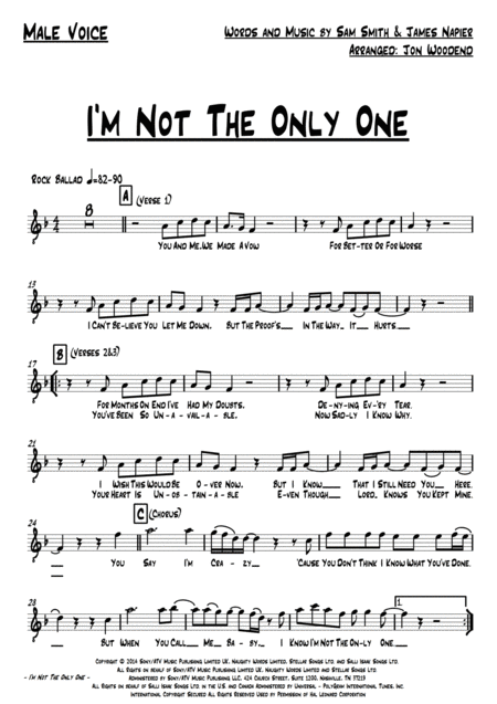 I M Not The Only One 9 Piece Band Page 2