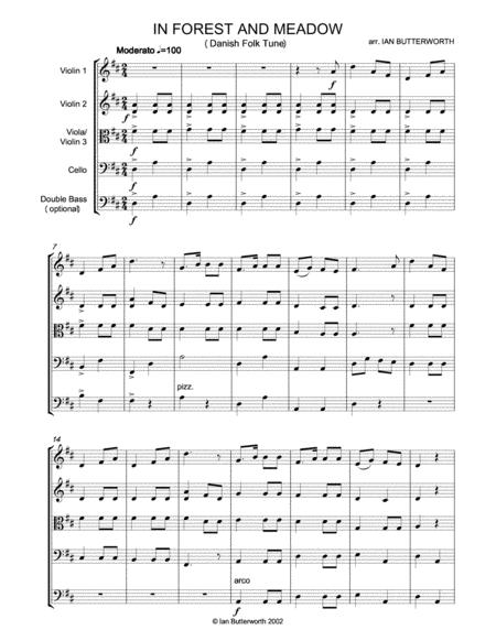 Ian Butterworth In Forest And Meadow For String Orchestra Page 2