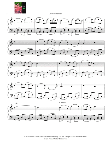 Lilies Of The Field Upbeat Waltz Page 2