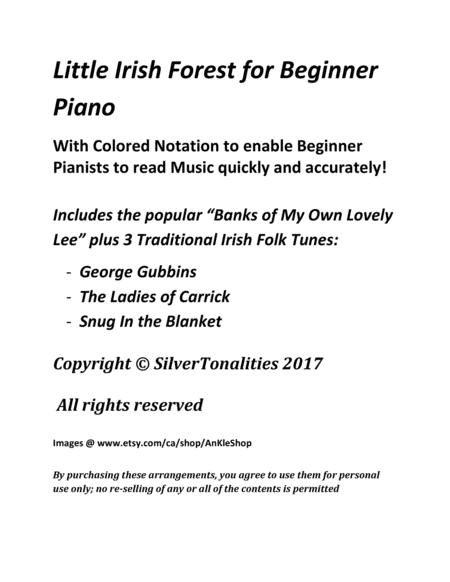Little Irish Forest For Beginner Piano Page 2