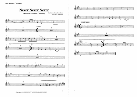 Never Never Never Grande Grande Grande Female Vocal With Big Band Key Of C To Db D Page 2
