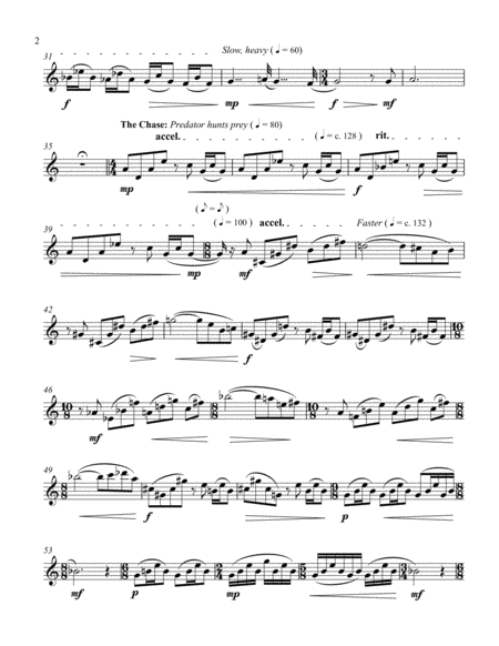 Nocturne Of The Desert For Solo Alto Bass Flute Page 2