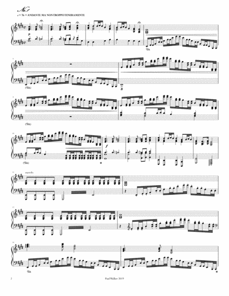 Piano Sonata No 1 Op 18 In E Major Spring Page 2