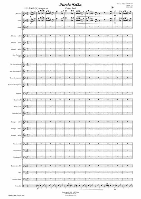 Piccolo Polka Concert Band Score And Parts Pdf Page 2