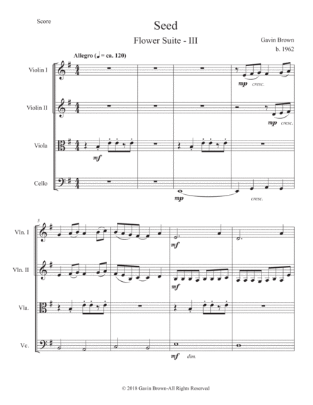 Seed For String Quartet Page 2