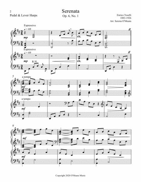 Serenata Op 6 No 1 Score Parts Page 2