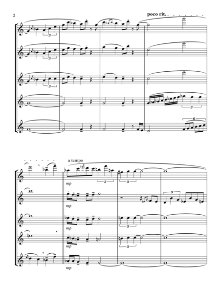 Shorebird Suite For Five Flutes Page 2