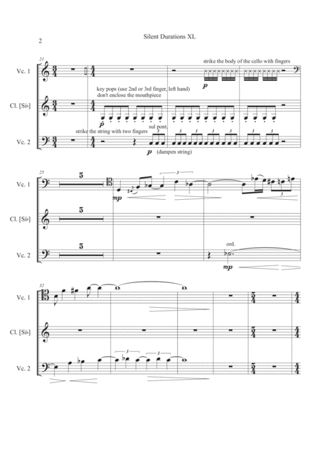 Silent Durations Xl Page 2