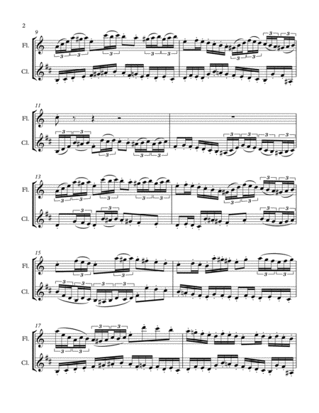 Six Canons For Flute Clarinet Duet No 4 In B Minor Page 2