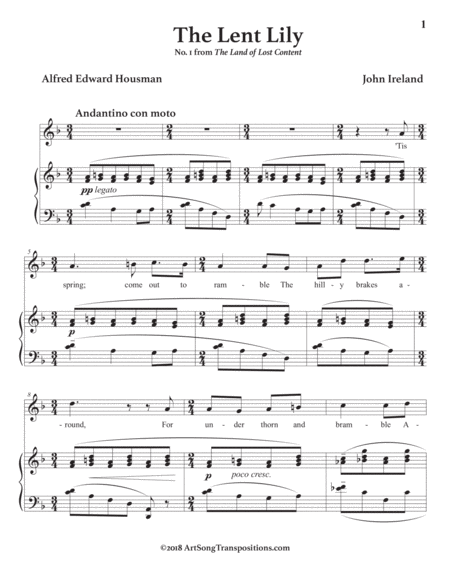 The Lent Lily D Minor Page 2