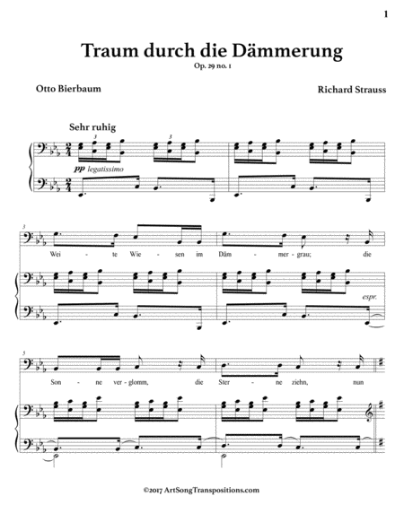 Traum Durch Die Dmmerung Op 29 No 1 E Flat Major Bass Clef Page 2