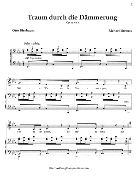 Traum Durch Die Dmmerung Op 29 No 1 E Flat Major Page 2